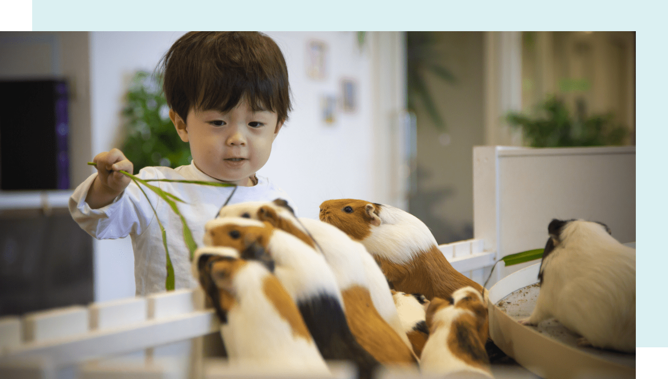 屋内型ふれあい動物園 アニタッチ