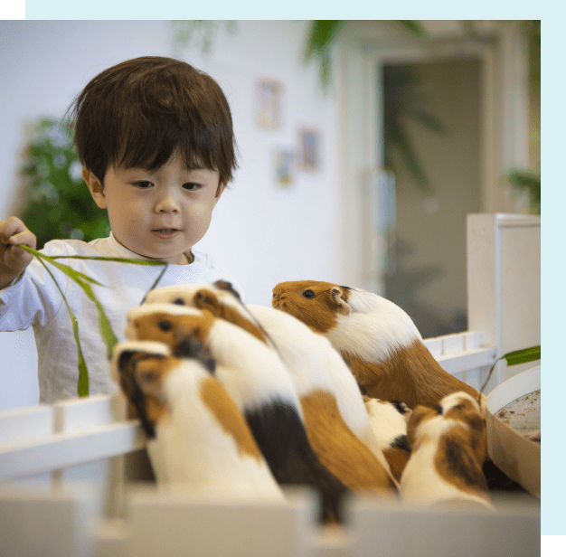 屋内型ふれあい動物園 アニタッチ